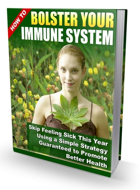 How to bolster immune system with kitchen ingredients digital PLR guide cover image