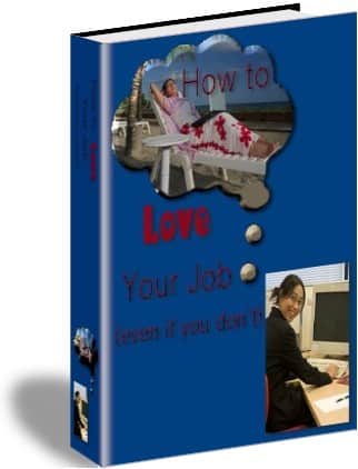 How To Love Your Job digital PLR guide showing workplace happiness strategies for resell