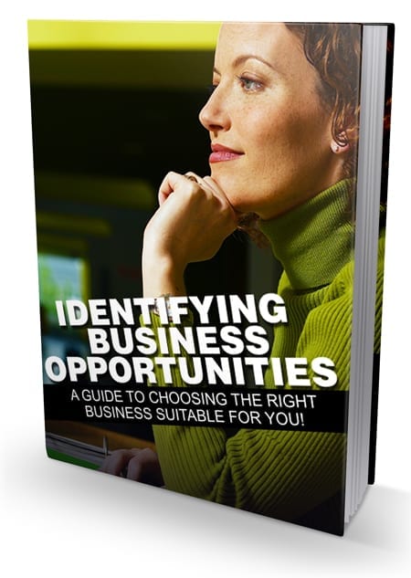 Identifying Business Opportunities digital guide with PLR MRR resell rights for entrepreneurs