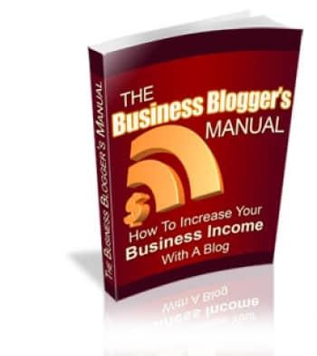 Blogging for profit digital download with PLR MRR resell rights - business blog setup guide