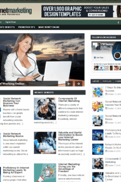 Internet Marketing PLR Blog