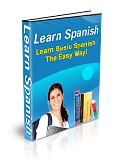 Digital download PLR eBook 