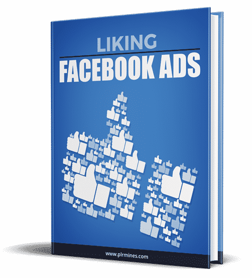 Digital PLR eBook showing Facebook ads strategy for business growth and resell rights