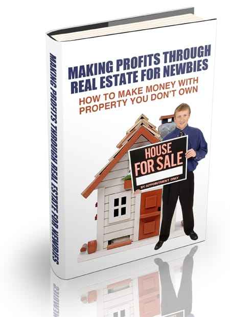 Real estate money making techniques for newbies digital guide with PLR resell rights - instant download cover image