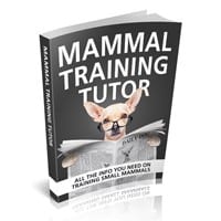 Affiliate Fitness Craze
