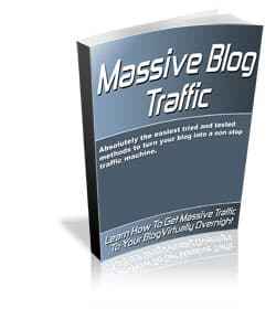 Massive Blog Traffic - proven methods to drive traffic with PLR resell rights digital download