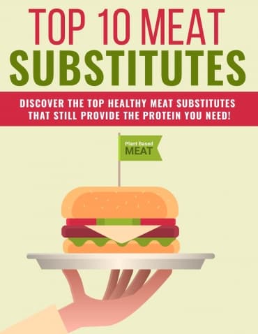 Meat Substitutes PLR eBook – digital download with resell rights for plant-based protein alternatives