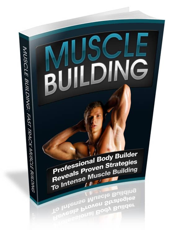 Digital muscle building guide with PLR MRR rights – proven strategies for fast muscle gain without supplements