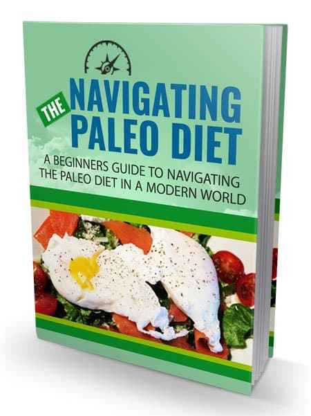 Navigating The Paleo Diet digital PLR MRR ebook resell rights package