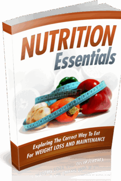 Lose The Belly Fat