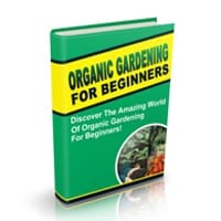 Budget Interior Decorating for the Beginner