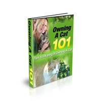 Outsmart Your Competition With SEO