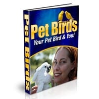 Find Out The Secrets Of Making Pet Food At Home