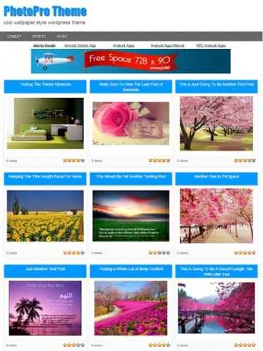 PhotoPro WordPress theme download – create profitable wallpaper sites with PLR/MRR rights