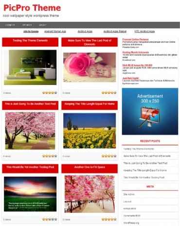 Picpro WordPress Theme - digital download with PLR/MRR resell rights for web designers and entrepreneurs