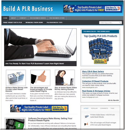 PLR Business niche blog with ready‑made content, graphics and mobile responsive theme
