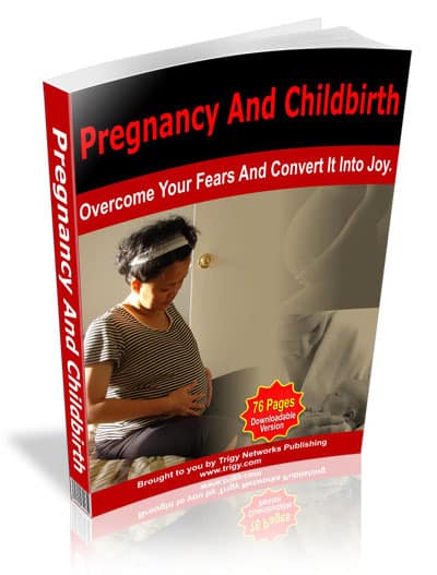 Pregnancy guide ebook cover showing