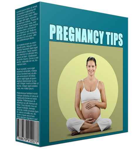 Pregnancy tips digital PLR MRR software for profitable niche marketing