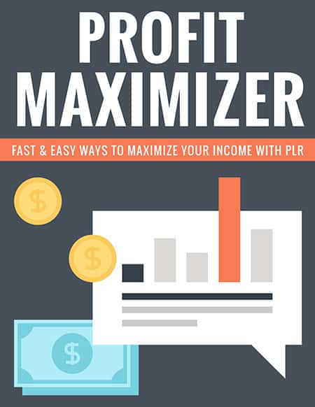 Profitizer PLR content ebook – digital download with resell rights for maximizing profits