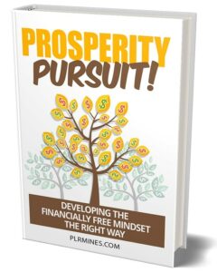 Prosperity Pursuit PLR eBook cover showing wealth mindset and financial freedom concept