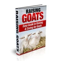 Affiliate Marketing Success Tips