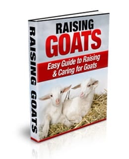 Raising Goats digital guide with PLR rights covering care, milking, and breeding tips