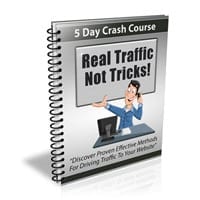 The Traffic Generation Personality Type