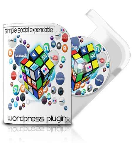 Rich Snippets Plugin digital download with PLR MRR resell rights for SEO boost
