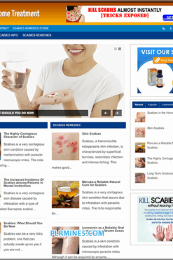 Scabies Treatment WordPress Web Site