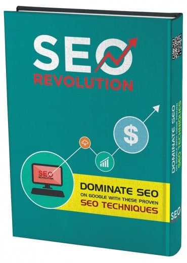 SEO PLR MRR course digital download with optimization strategies for website traffic