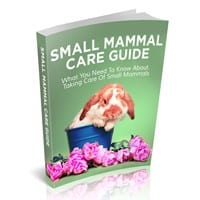 Ebook Publishing Secrets