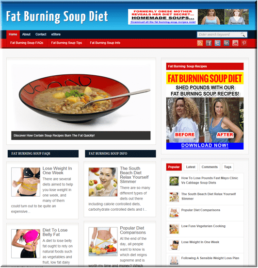 Ready-made soup diet niche blog with PLR resell rights for instant digital download and profit