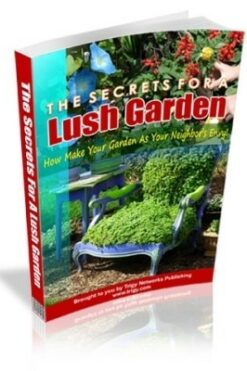 The Secrets For A Lush Garden