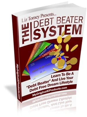Digital guide The Debt Beater System for eliminating bad credit and debt with PLR resell rights