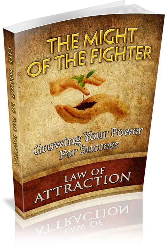 The Might Of The Fighter digital PLR personal responsibility guide ebook cover