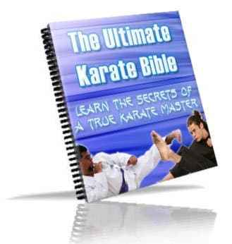 The Ultimate Karate Bible digital manual with PLR MRR resell rights, self-defense illustrations