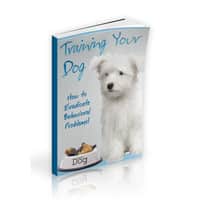 Stop Compulsive Spending