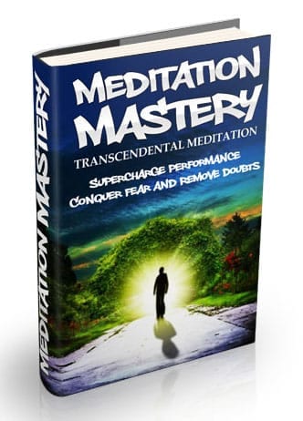 Transcendental Meditation ebook cover with brain and lotus symbol – digital download with PLR/MRR rights