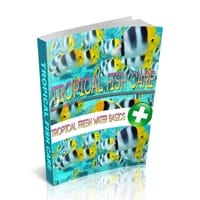 Basics Of Spiritual Living