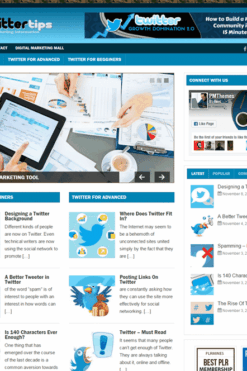 Twitter Niche PLR Blog
