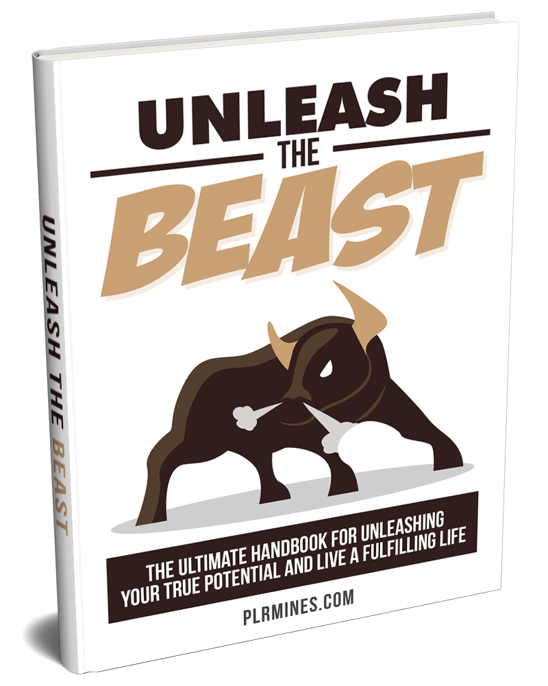 Unleash your true potential digital guide with PLR MRR resell rights cover image