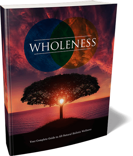 Holistic wellness digital guide with PLR MRR resell rights for lifestyle transformation