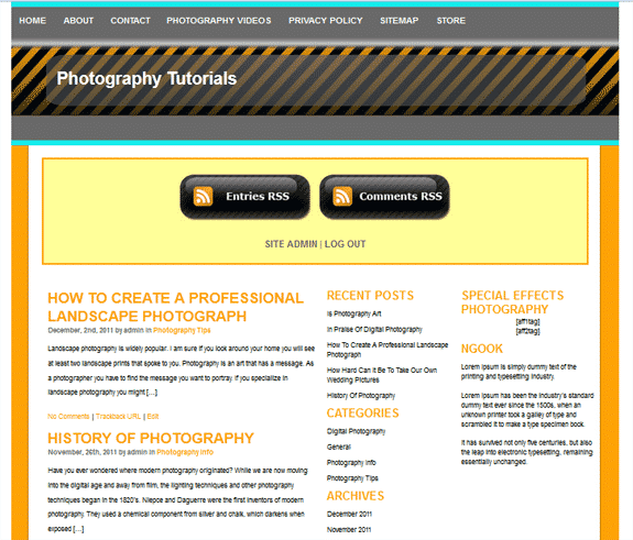WordPress Theme Web2.0 v1 with PLR and MRR resell rights – digital download