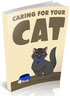 caring for your cat