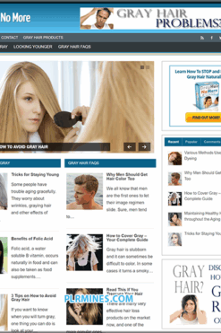 gray hair no more wp website