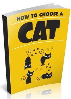 how to choose a cat