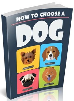 how to choose a dog