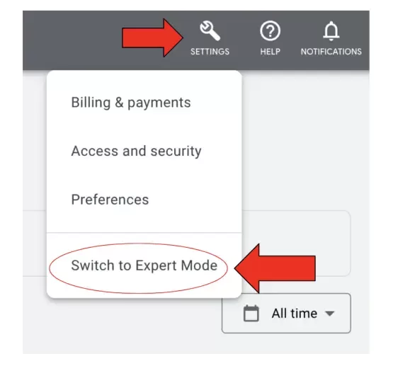 google ads expert mode